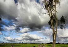 天涯论坛捞金秘籍，教你怎么在社交平台上轻松赚点小钱！