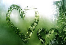 天涯论坛捞金秘籍，教你怎么在社交平台上轻松赚点小钱！